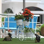 Hotel Kamomil Škalngur
