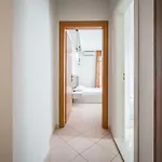 Kamomil 3* Škalngur