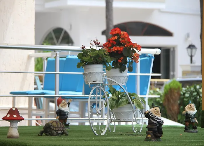 Hotel Kamomil Shkallnur